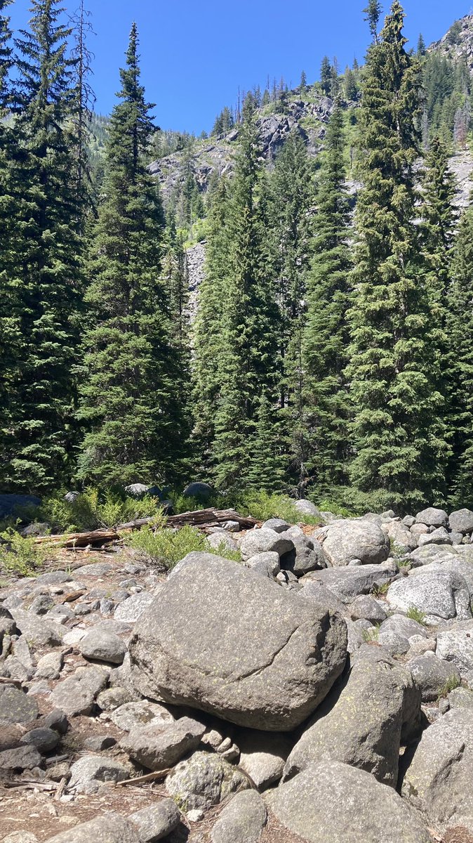 ValerieRobert6's tweet image. Repping @try_pineapple on my hike🥾💛 
#lifeatmicrosoft #microsoftintern