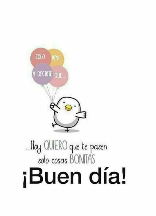 Hola bella gente <a href="/certoviviana/">VIVIANA ♈🇦🇷</a> <a href="/abrillajusta/">Abril</a> <a href="/laura3969/">Maria Laura Bianchi</a> <a href="/LoreDiGeso/">Lorena Di Geso</a> <a href="/TransitoOK/">Valeria Durán ⭐️⭐️⭐️</a>  <a href="/AnaliaGraffigna/">𝔸𝕟𝕒𝕝𝕚𝕒 𝔾𝕣𝕒𝕗𝕗𝕚𝕘𝕟𝕒 📻🎙️</a> <a href="/diegoschurman/">Diego Schurman</a> @JorgeEliasInter <a href="/24maria15/">Maria</a> <a href="/nfolgueral/">Norma Folgueral</a> <a href="/NoelTesouro/">Noel Tesouro</a> <a href="/CantelmiMaia/">MaiaCantelmi</a> <a href="/MarianoOnega/">Mariano Onega</a> <a href="/pablolivsit/">Pablitotecno</a>