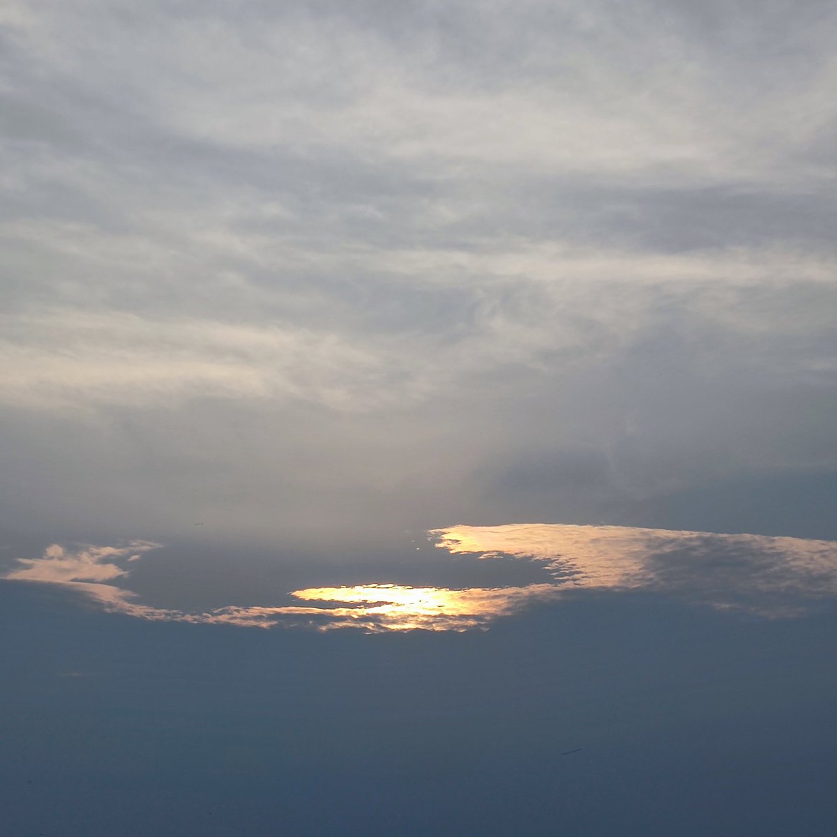 treeeica07's tweet image. 