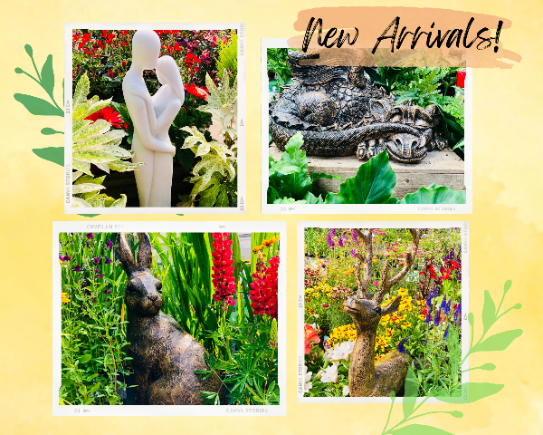 bow_gc's tweet photo. Unwind in your dream Summer garden 😌  - https://t.co/5VK86KpOua https://t.co/Et2h6fX3zP