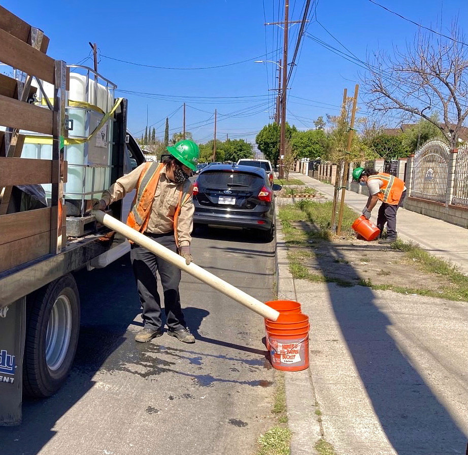 Increasing the tree canopy will help us create a healthy &amp; climate resilient future for #pacoima and #sunvalley 🌱