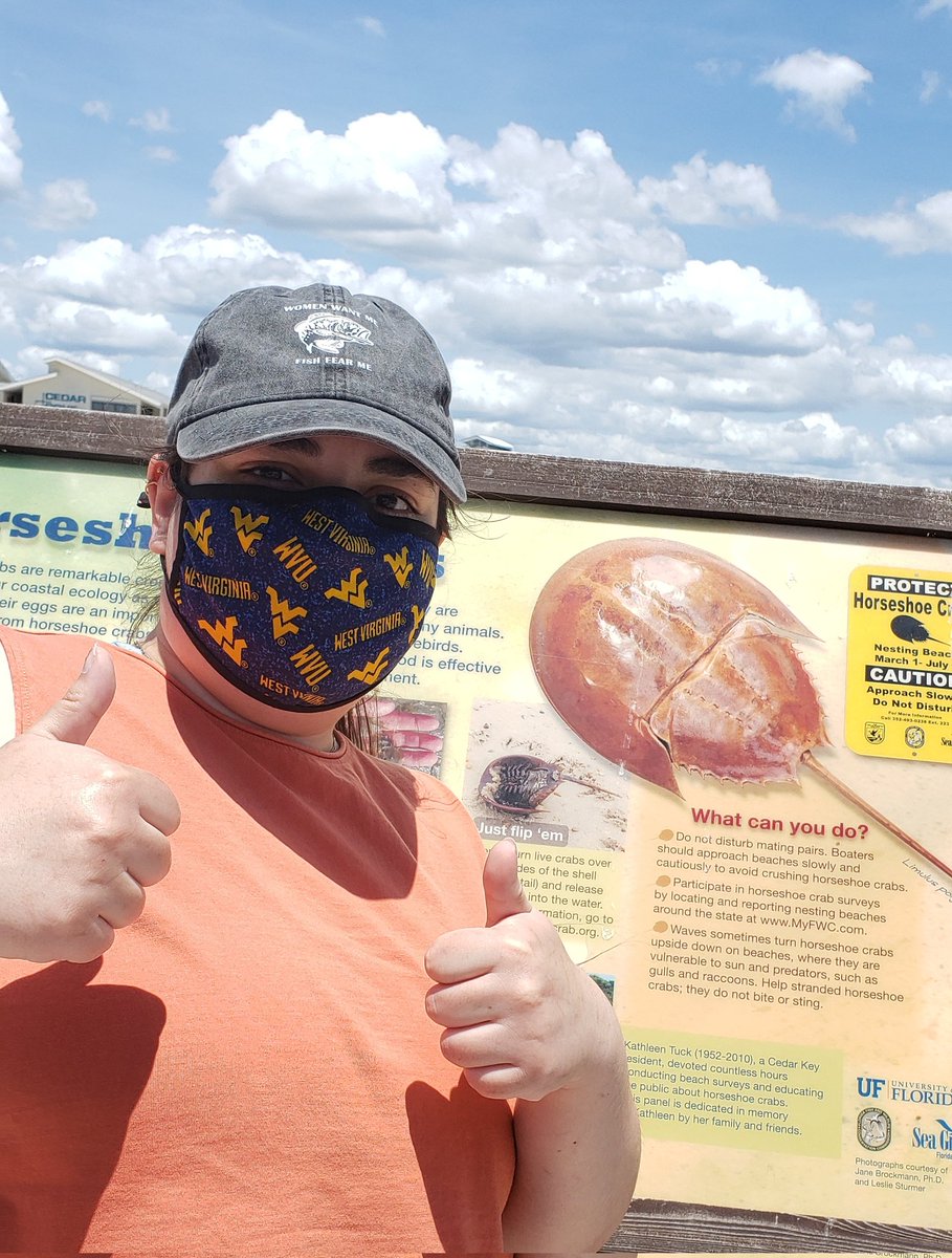 I have made my annual pilgrimmage to the Cedar Key horseshoe crab sign. Pink shirt = 2022, orange shirt = 2021.
