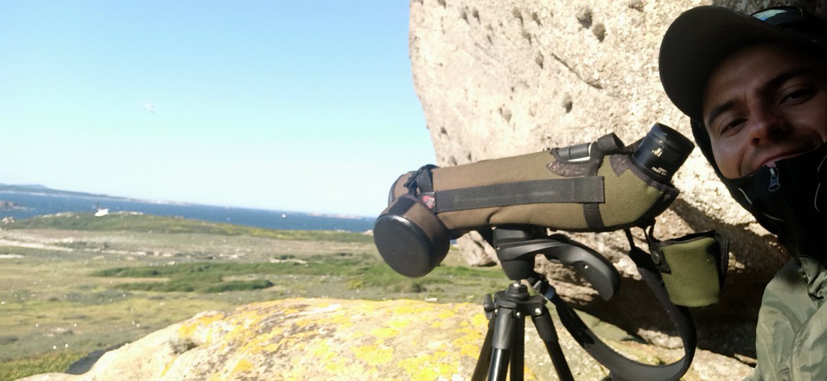 The field season is over. Congratulations Susana, <a href="/RuizRaya_f/">Francisco Ruiz-Raya</a>  and the whole #gull team for your work.  Now it's lab time! 🧪. More coming soon...📈 #Sálvora