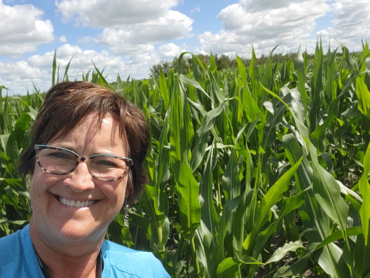Page__Newton's tweet photo. @PRIDESeeds #AS1017RRis loving the heat this beautiful July day!! Thanks Mark Catley &amp; @SynergyAGLumsdn for your support! Only @canterraseeds retailers! #westcdnag #canadasready https://t.co/XqyHQPo8rm