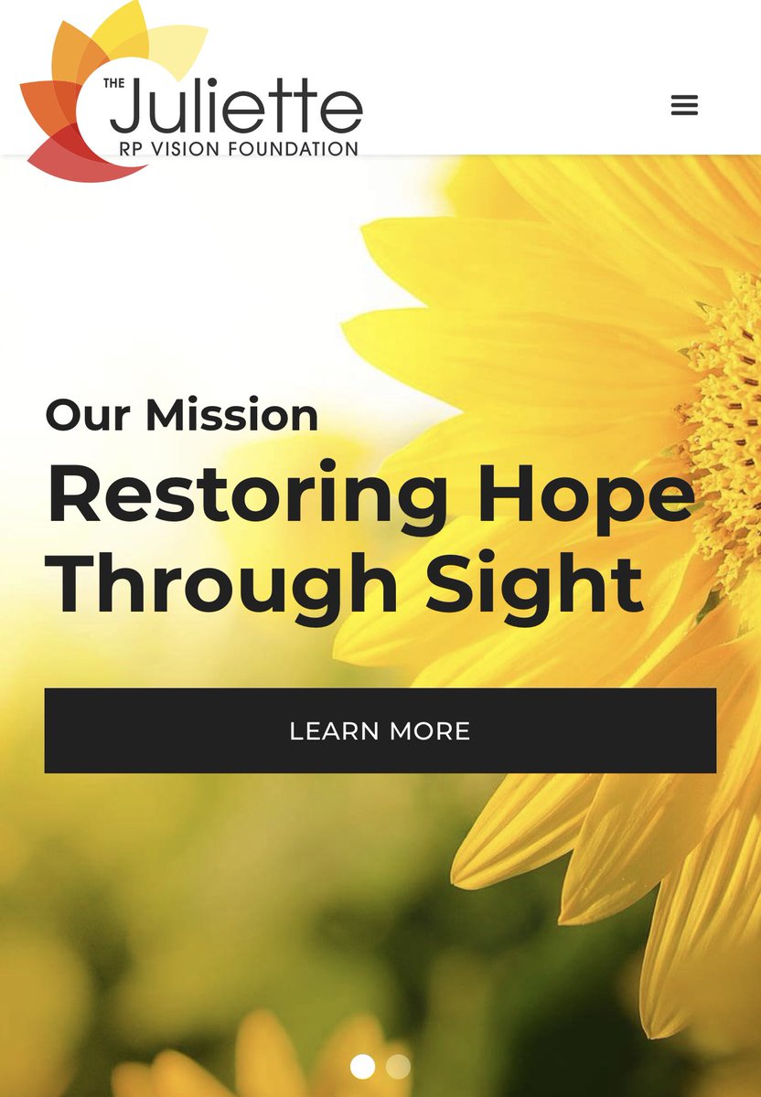 Thank you TearLab Corporation for sponsoring vision!
Night for Sight 2022
by The Juliette RP
Vision Foundation—help find a cure for RP and other retina eye diseases. 

Sponsor or donate securely at JulietteFoundation.org
Or message me for more information. @TearLab