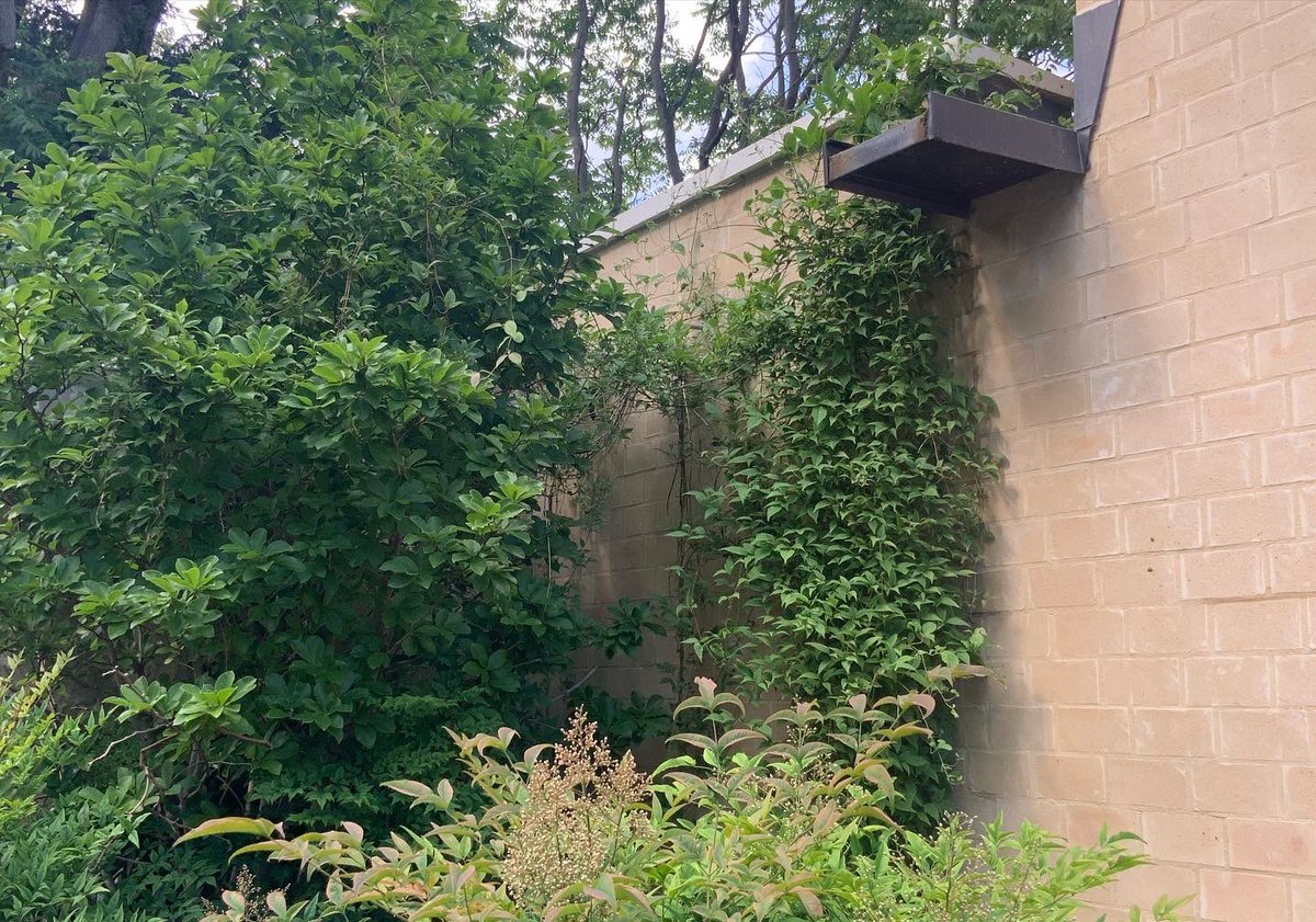 SEACCFulham tweet media