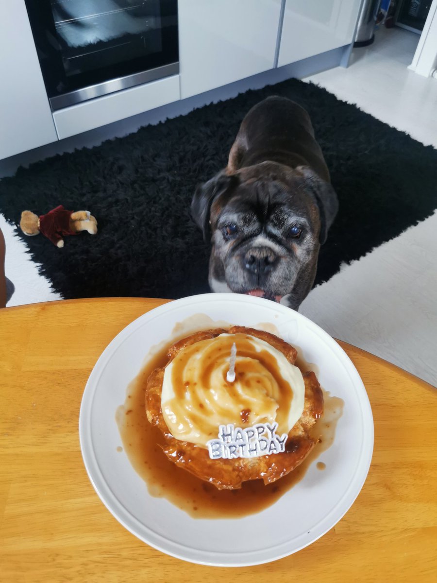 Fanks for the Birfday wishes everyone ❤️ mum made me a steak pie cake, with I could share it with you all 😋