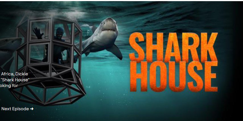Guys! My new <a href="/SharkWeek/">Shark Week</a> doc is on tonight at 9 on <a href="/Discovery/">Discovery</a> ! SHARKHOUSE !!
#SharkWeek2022