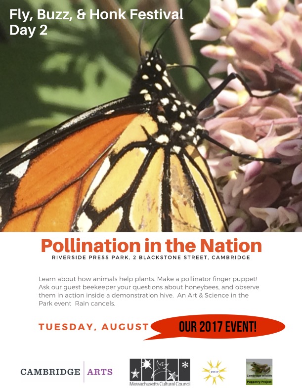 In 2017 we held our annual nature festival focused on Cambridge species at Riverside Press Park and we had several days of activities. This year we're inviting you to Joan Lorentz Park for our one-day festival on Thurs. Aug. 4. #CambMA #kidsandnature #urbanwildlife
🦋🐝