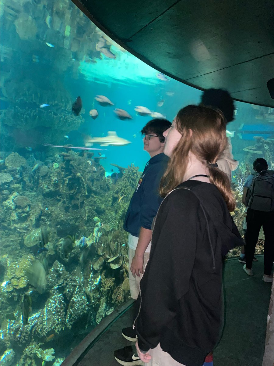 Celebrating the last day of Summer Academy at the Baltimore Aquarium! <a href="/PocomokeHorizns/">PocomokeAcademy100</a> <a href="/WorcesterSystem/">Worcester Schools MD</a> <a href="/huffy3420/">Matt Hoffman</a>