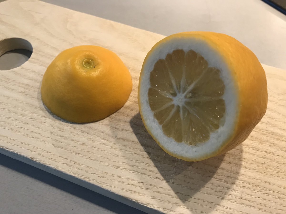 EmmaNunnington's tweet photo. Shouldn’t show off but who would have thought ‘edible’ home grown lemons in #Sheffield 
#gin
#seafood
#deadchuffed https://t.co/qIEcxwSwcI