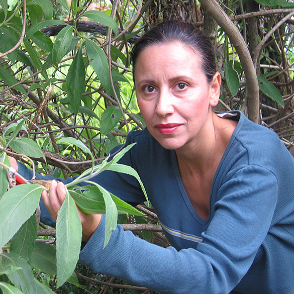 LuchoSuarez60's tweet photo. Lamento profundamente la muerte de la bióloga Montserrat Ríos, quien dedicó su vida a la etnobotánica y realizó importantes aportes científicos. También fue Directora Nacional de Biodiversidad y Áreas Protegidas y docente de la Universidad Ikiam. https://t.co/gyFRP7SBC2