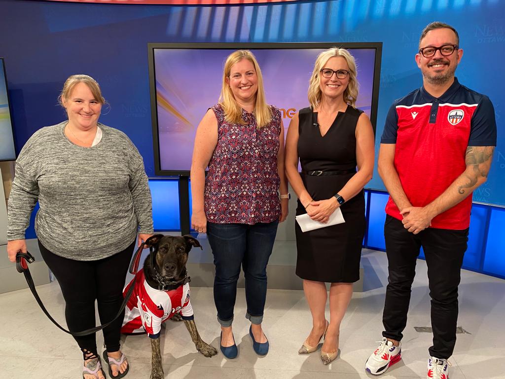 Shadow looking sharp on @CTVOttMornLive with @atletiOttawa and @saveapotcake WATCH: bit.ly/3PYcYM8 Shadow's Big Night where we hope to find him a FURever home is this Sunday! Don't miss out! #ForOttawa #ForShadow