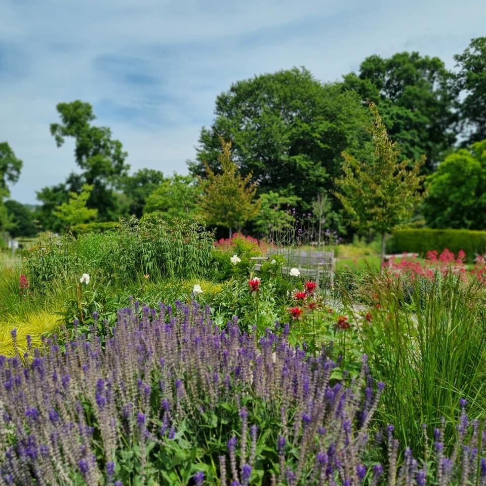 Lewisham Council on Twitter "💚🎉 Huge congratulations to our wonderful