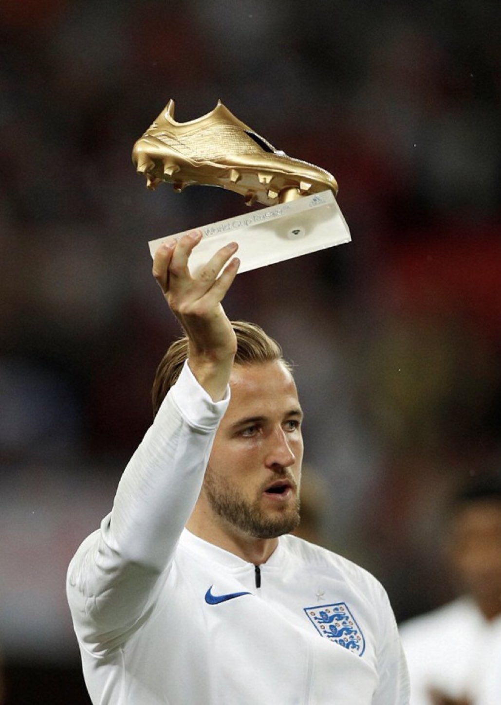 فاز بالحذاء الذهبي مع منتخب انكلترا عام 2018 . 