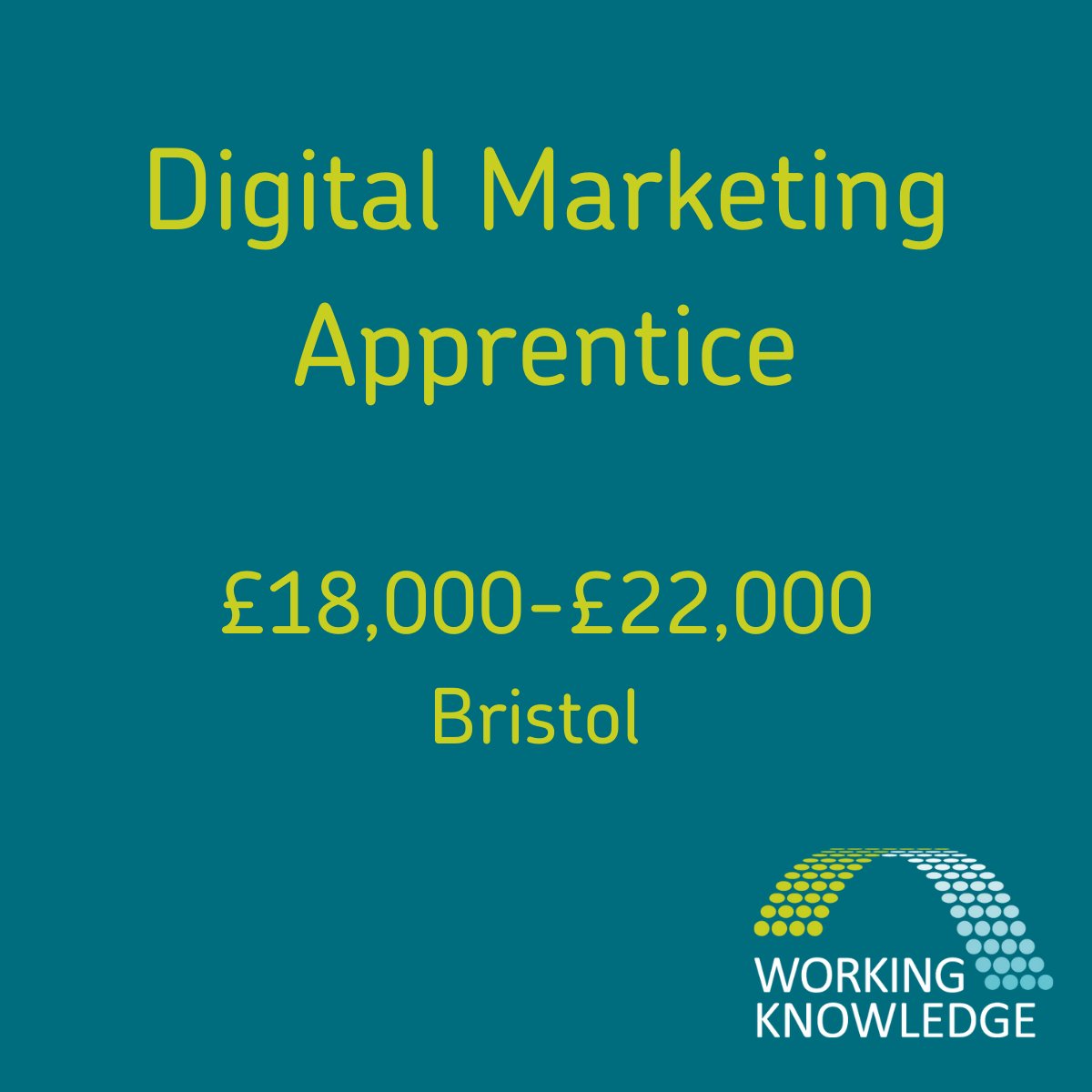 Working_Know's tweet photo. BRAND NEW OPPORTUNITY to fast-track your digital marketing career. This Bristol-based role gives the right candidate the opportunity to grow, be creative and take charge of all digital marketing responsibilities.

APPLY NOW! 
https://t.co/SGuUprPbLy https://t.co/TyO9Uv6bW4