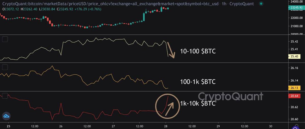 robin lokananta tweet media