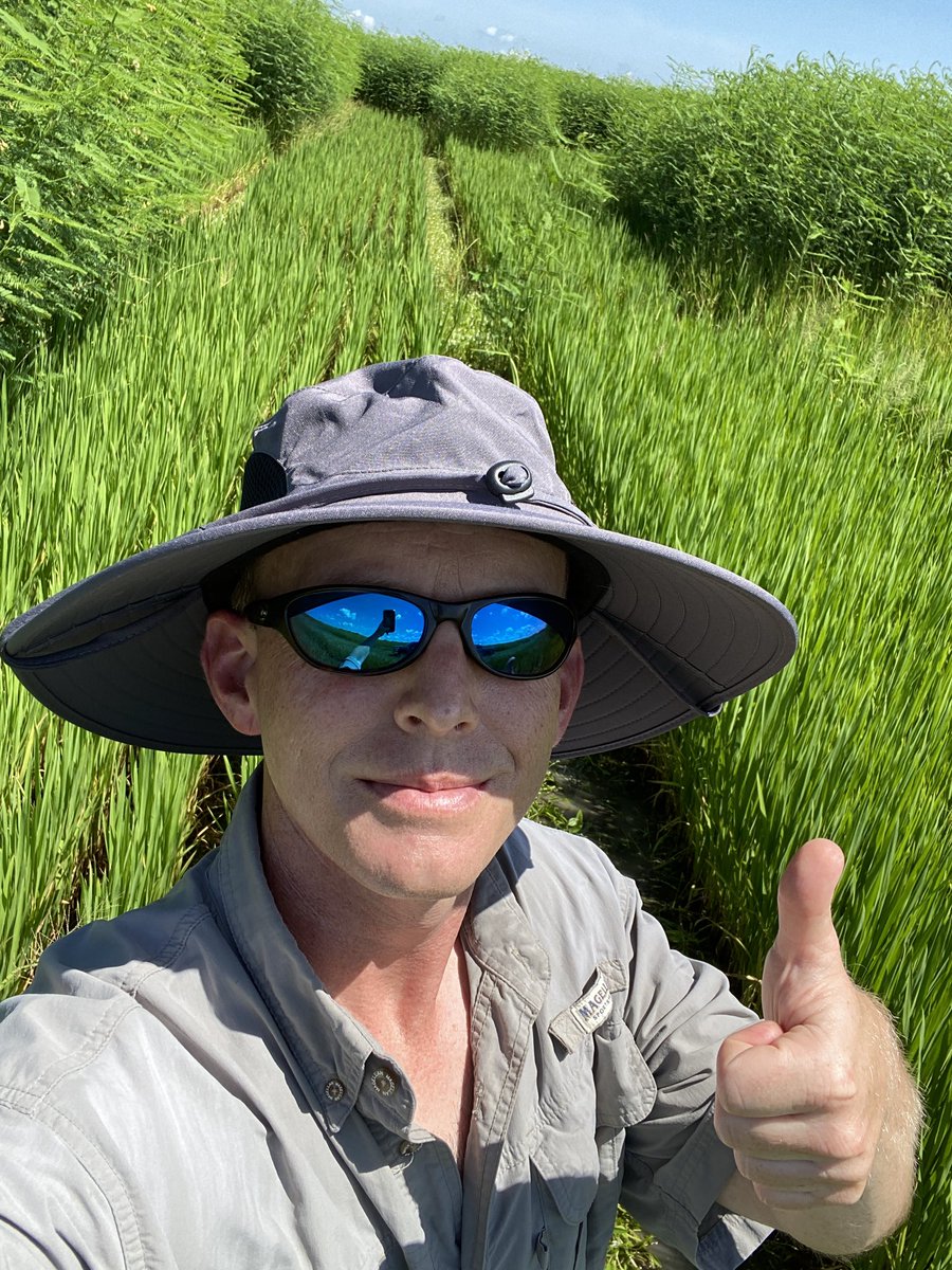 RMattGriffin's tweet photo. That may be a wrap on the rice weed control ratings for ‘22! #usarice #ricefarming https://t.co/1PK1V3yMbc