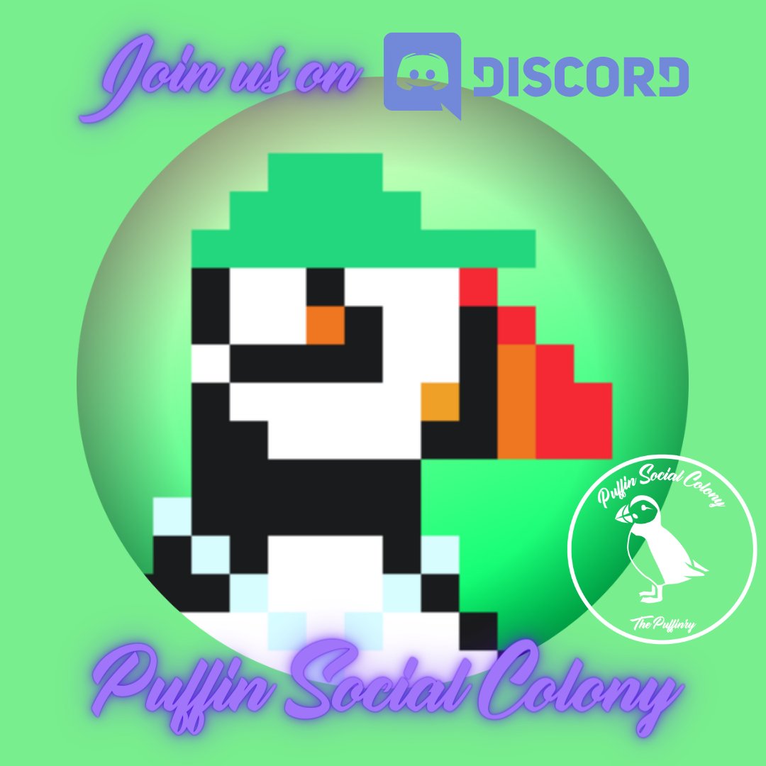 Join the official Discord server of the Puffin Social Colony and receive 2 free Retro Puffin #NFTs ! #NFTCommunity #PolygonNFTs #FreeNFTs #NFTAirdrop discord.gg/Uc3dyWJHy3