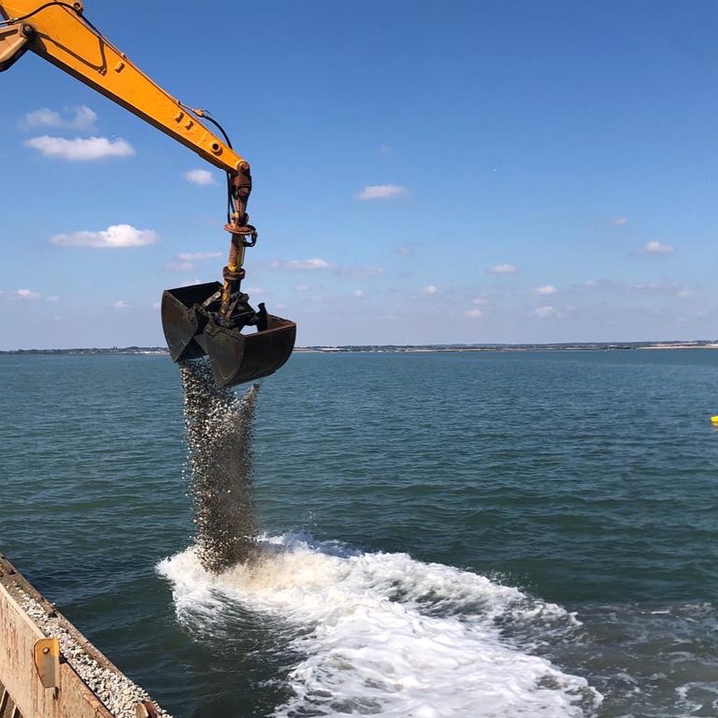 We have completed our cultch deployments in the Restoration Box for the year, we’ve had some beautiful mornings doing #nativeoyster restoration work! Thank you to everyone who has made this possible, especially our ENORI partners and our funders @HeritageFundUK and @EnvAgency