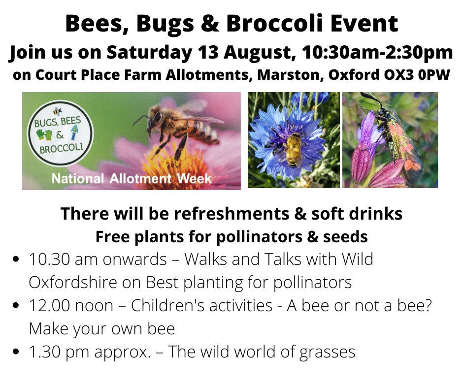 Join us on Saturday 13 August to celebrate #biodiversity and claim your free Plant for Pollinators on Court Place Farm Allotments. Thanks to community fund support from <a href="/OxfordCity/">Oxford City Council</a>. Pls RT <a href="/oldmarstonpc/">Old Marston PC</a> <a href="/MarstonCommuni1/">MarstonCommunityGardening</a>