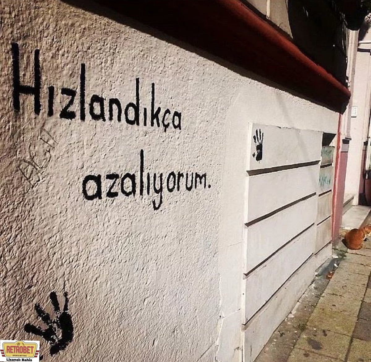 Poyraz Karayel (@poyrazkar4yel) on Twitter photo 