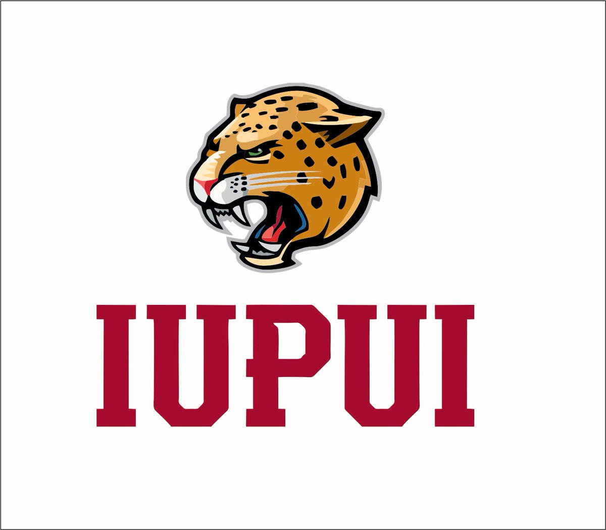 Blessed to receive a offer from IUPUI @AllOhioSumner <a href="/A_Mitchell5/">Andrew Mitchell</a> <a href="/callme_cuz/">C</a> <a href="/Coach_Crenshaw/">Matthew Crenshaw</a>