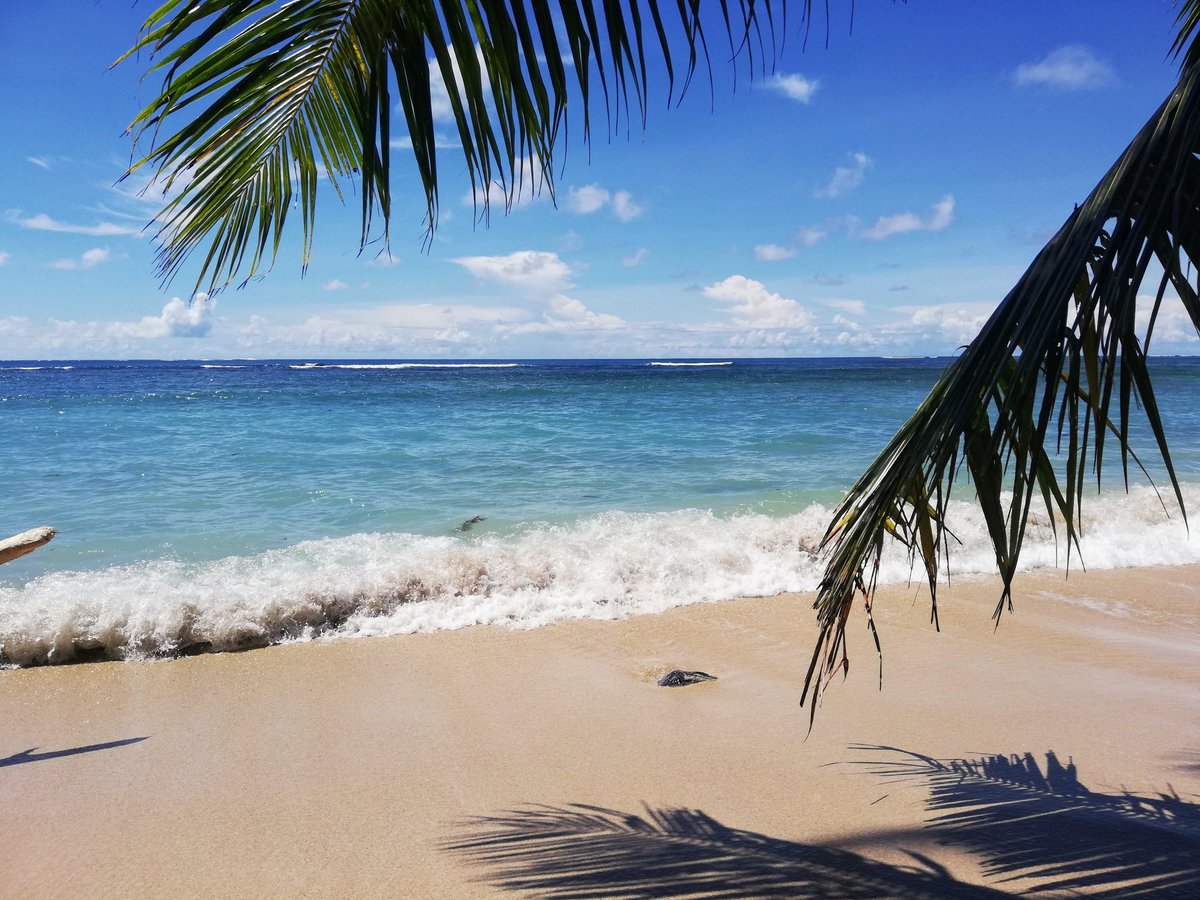 Mareko_Samoa's tweet photo. @ClaudiaVetter3 Claudia, 😉 manche mögen Fotos aus der Südsee: https://t.co/Piz8jUAOlB
