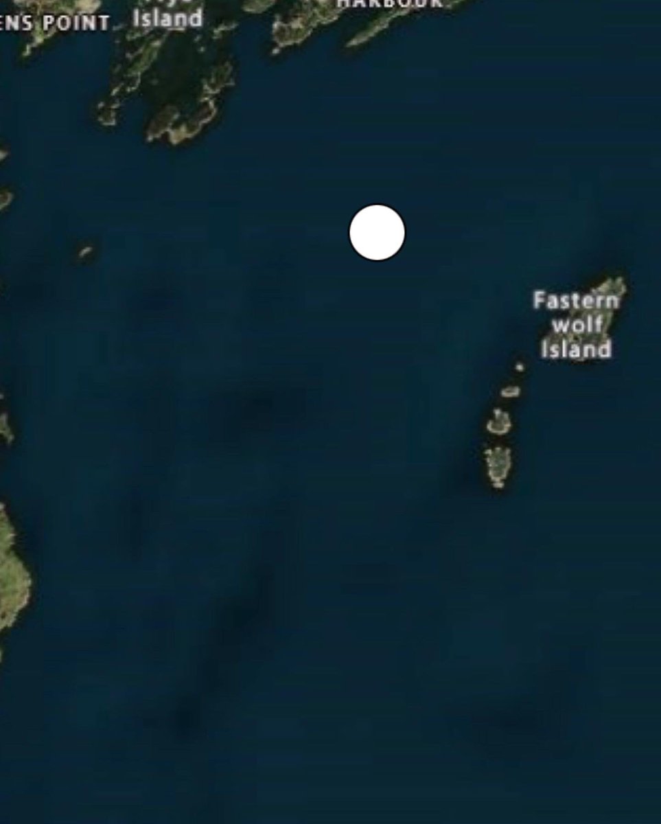 SulikowskiLab's tweet photo. White shark update.  Bobby E  is on the move and is now in Canada!  Follow Bobby E’s story on @SharkWeek @discoveryplus in the Haunting of shark tower! https://t.co/pJVVjLEaPZ