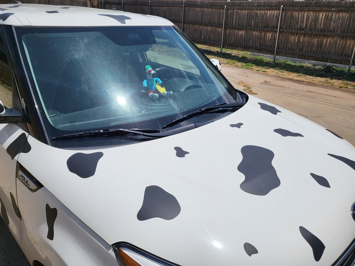 greyson_croy's tweet photo. @ChickfilA May I introduce you to... Cow Kia! Now complete with dashboard cow. 😊🐄 https://t.co/BOoQRaXvRf