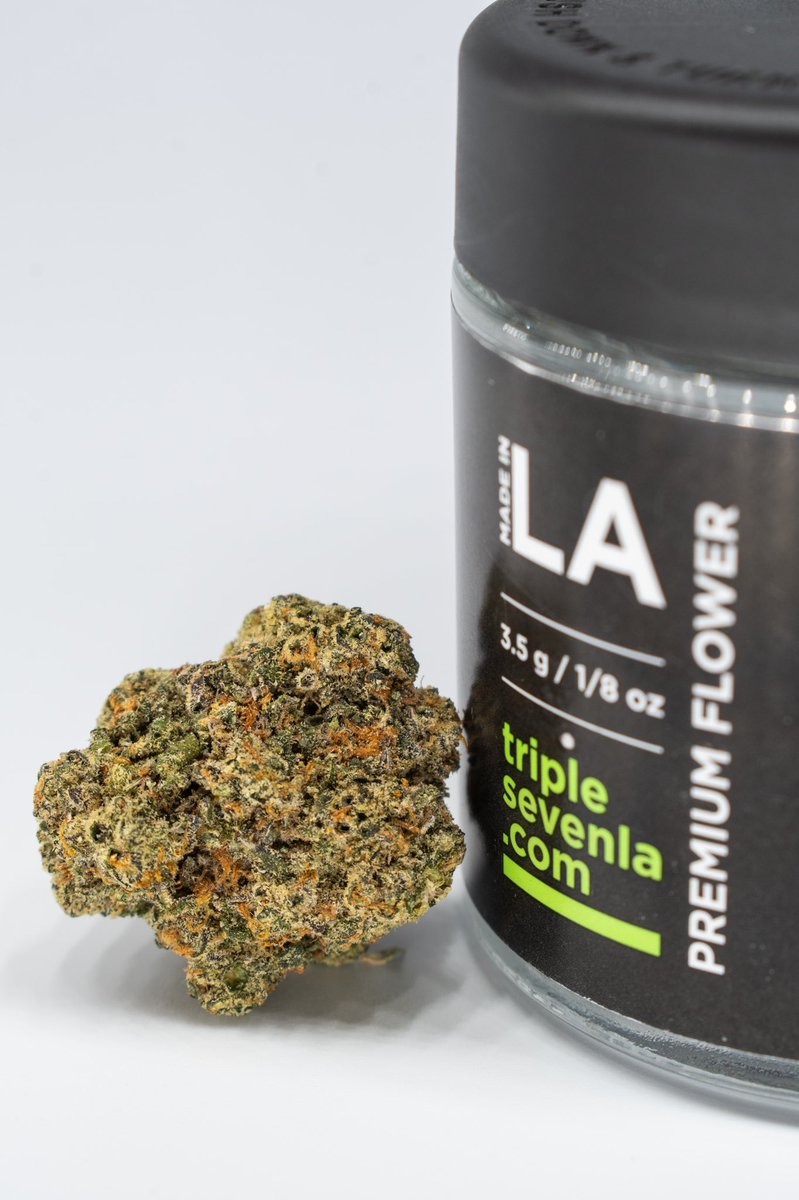 Abstract_0ne's tweet photo. Got this 8th for $1 over at @stiiizy for one of their promo deals and this stuff is some of the best tree I’ve had in a while! Really good high, amazing taste. Old school flavors mixed with new age dense deliciousness all packed into one amazing flower 

#cannabis #weed #goodbud https://t.co/BGhfKTzBqu