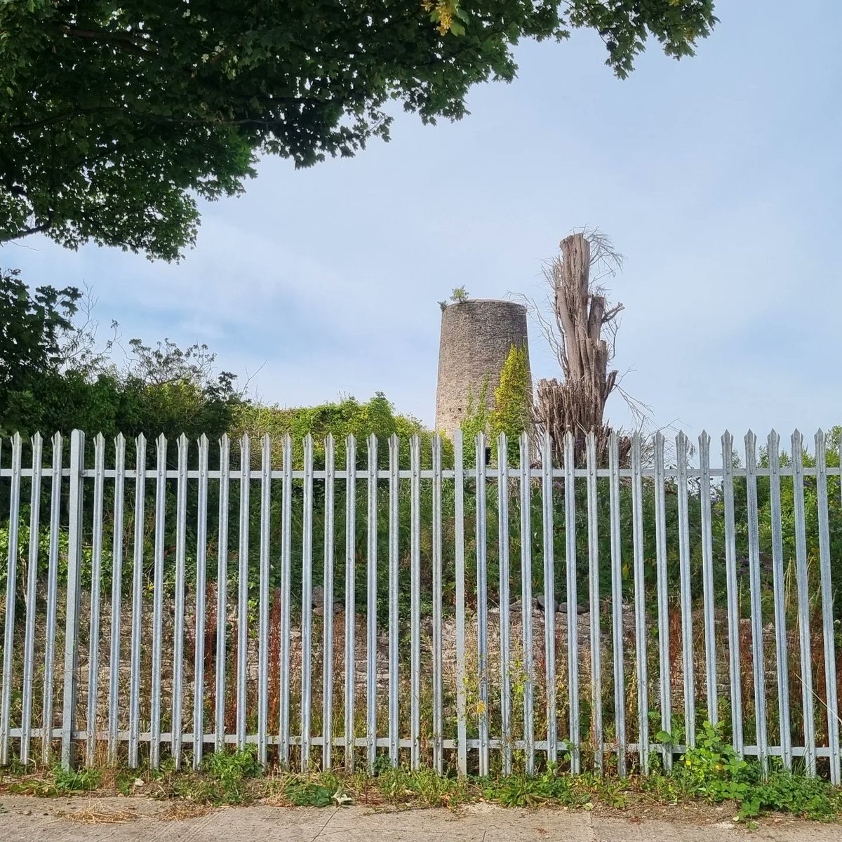 ng_conservation's tweet photo. I have always wanted to work on a windmill, yesterday I ticked that box. Condition survey of an early 19thc mill in the Vale of Glamorgan. #conservation #consolidation #restoration #heritage #surveying #historicpreservation #historicstructures #Wales #valeofglamorgan https://t.co/c8acfM5cP1
