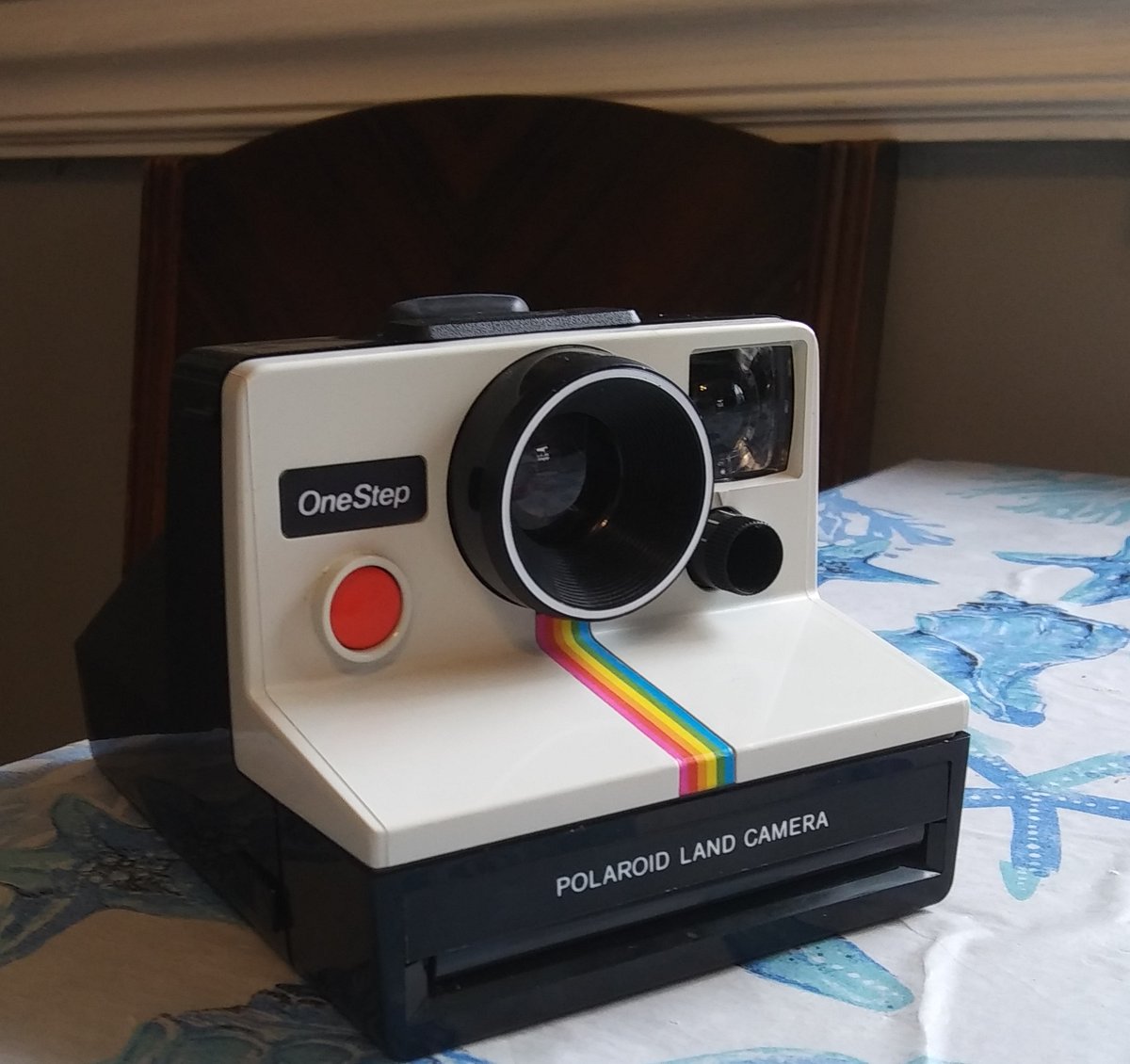 TockEmily's tweet photo. My kids went in together to buy a refurbished Polaroid camera. They are all giddy, waiting for the first photo to develop. #polaroid #nostalgia #photography https://t.co/3ZTPcnGyAU