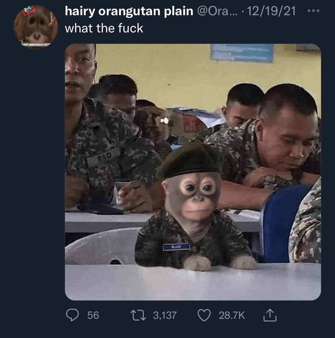 afool4apes's tweet image. 🦧@OrangutanPlain is the original creator of the image BTW
