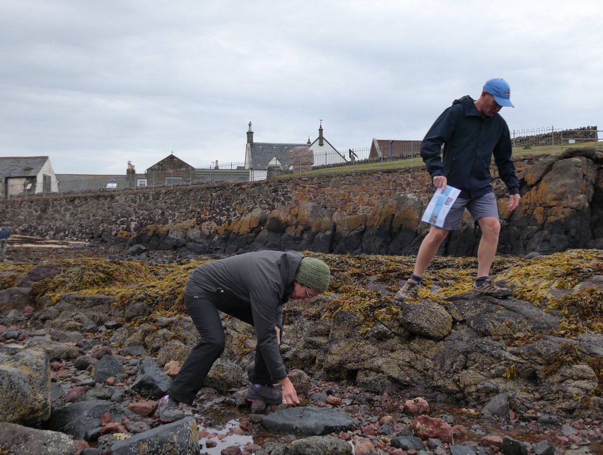 Great @mcsuk @SeabirdCentre event this evening in #NorthBerwick talking about #nativeoysters #seagrass & #seaweeds #restorationforth #seaweedsearch