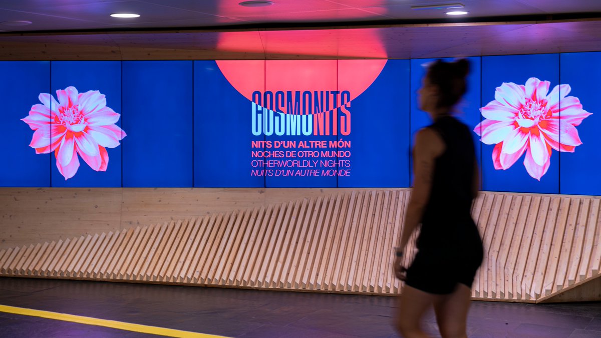 Museu de la Ciència CosmoCaixa (@cosmocaixa_cat) on Twitter photo Vols gaudir de més #CosmoNits? No et perdis la pròxima sessió del 18 d'agost amb les propostes de @t_modet, @Hamill_Ind , Anna Serra, Ariadna Montfort, <a href="/marinaherlop/">Marina Herlop</a> i <a href="/petitdecaleril/">elpetitdecaleril</a>.
cosmocaixa.org/es/p/vibracion…
cosmocaixa.org/es/p/el-petit-… Vols gaudir de més #CosmoNits? No et perdis la pròxima sessió del 18 d'agost amb les propostes de @t_modet, @Hamill_Ind , Anna Serra, Ariadna Montfort, <a href="/marinaherlop/">Marina Herlop</a> i <a href="/petitdecaleril/">elpetitdecaleril</a>.
cosmocaixa.org/es/p/vibracion…
cosmocaixa.org/es/p/el-petit-…