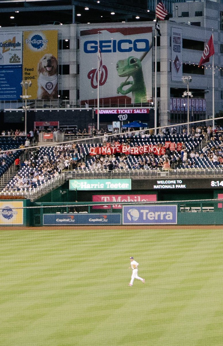 Now Or Never tweet media