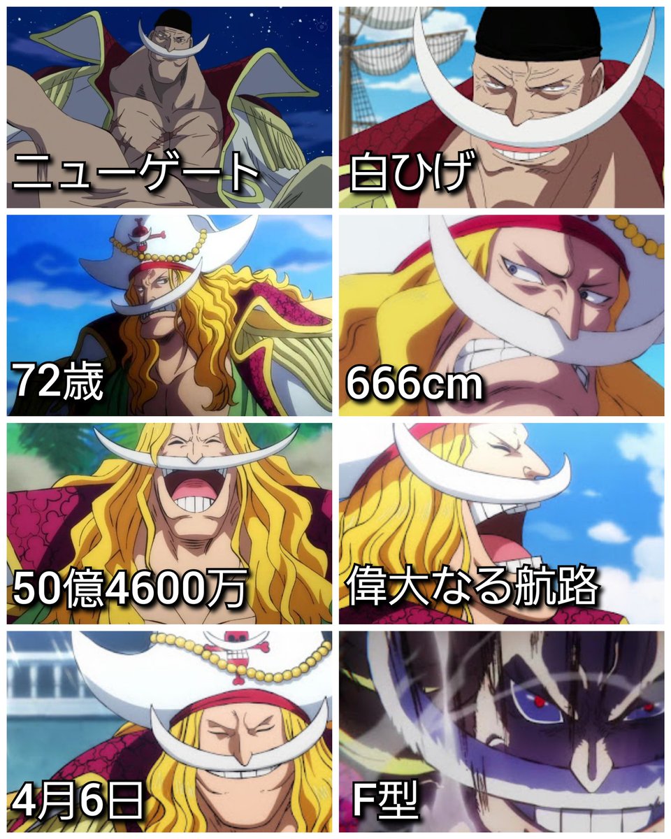 pinkchachamaru様 白ひげ Amazon.co.jp: ワンピーベリーマッチダブル【第5弾】CP キャンペーン