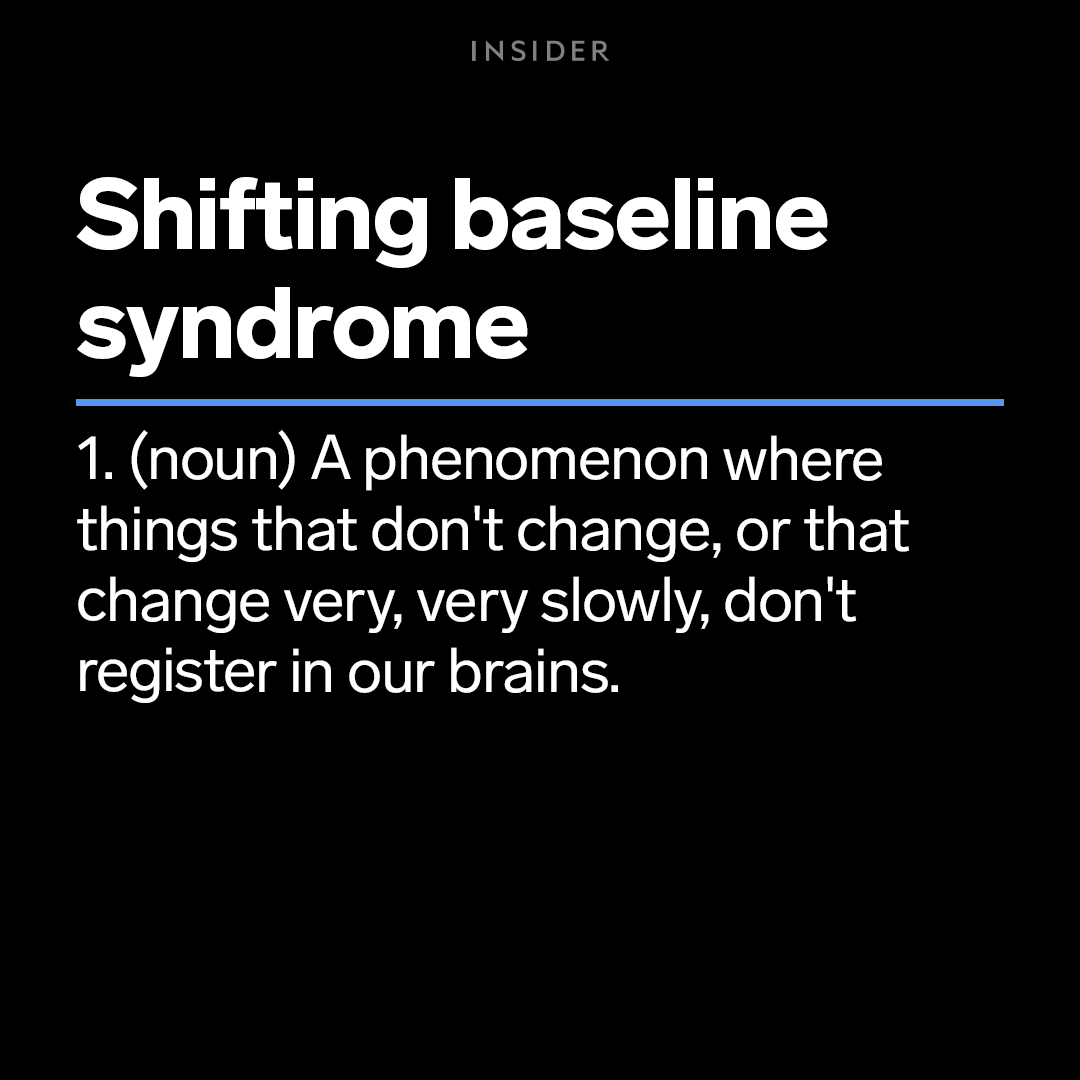 Text shows the definition of shifting baseline syndrome, a noun meaning a phenomenon where things that don't change, or that change very, very slowly, don't register in our brains.