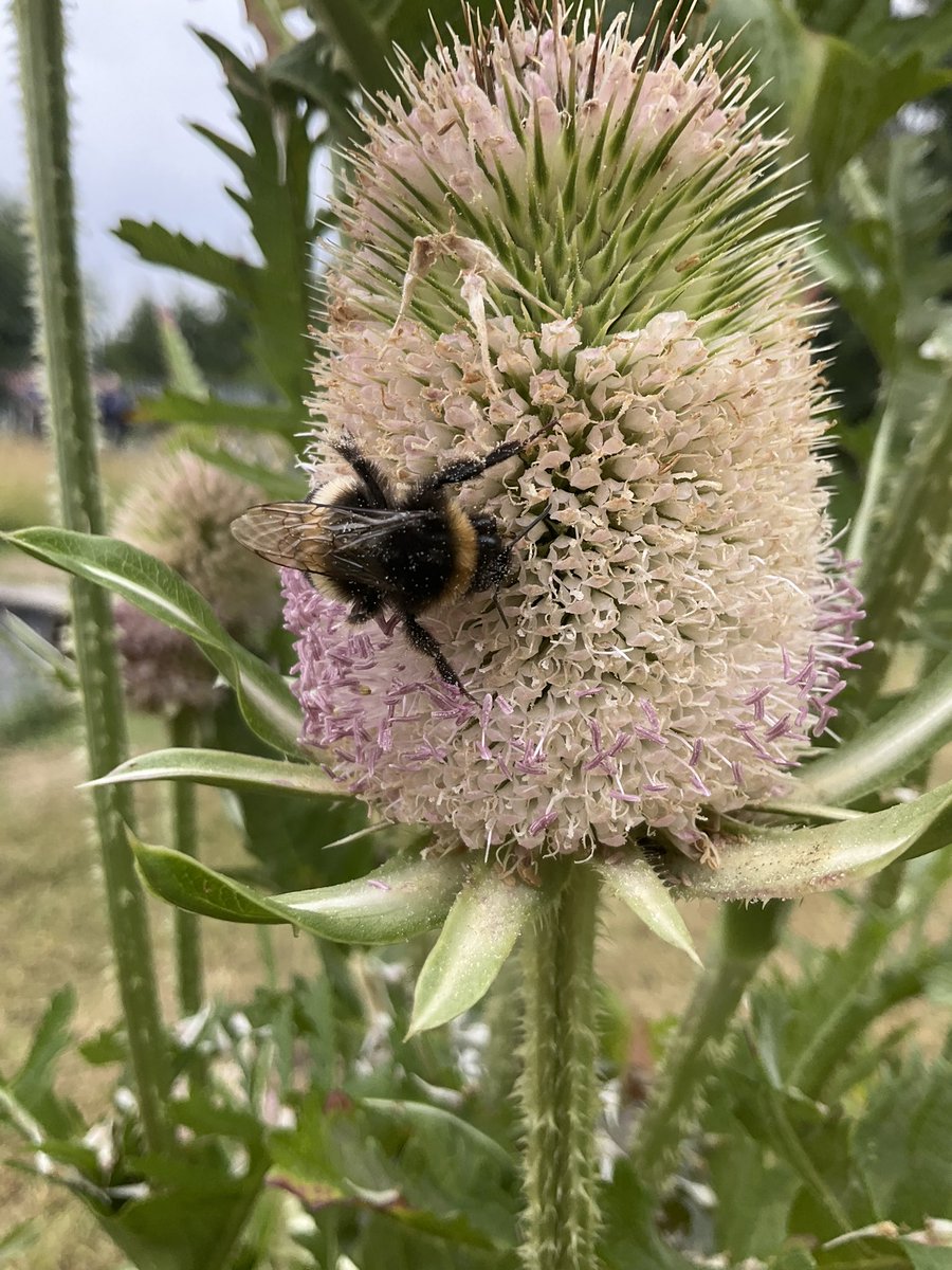 An Engineer Mum tweet media