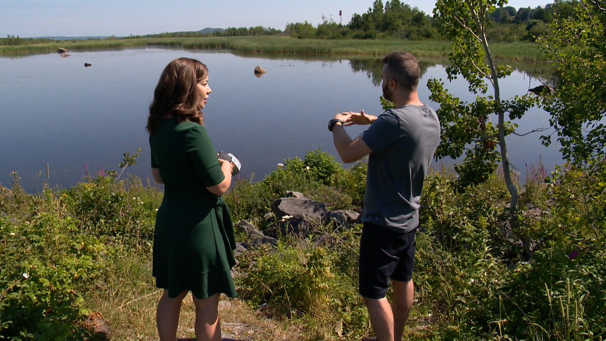 Observer de très près un Lynx, en pleine nature, pendant une bonne vingtaine de minutes…c’est ce qu’un photographe de Rivière-du-Loup a eu la chance de vivre. Voici mon reportage avec lui! <a href="/tvanouvelles/">TVA Nouvelles</a>  cimtchau.ca/?p=109096