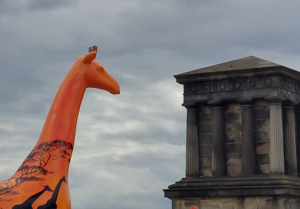 Just finishing research stay in Grzegorz Kudła Lab at <a href="/EdinUni_IGC/">Institute of Genetics and Cancer</a> in Edinburgh thanks to <a href="/EMBO/">EMBO</a> Scientific Exchange Grant.
Amazing scientific adventure - to be continued!