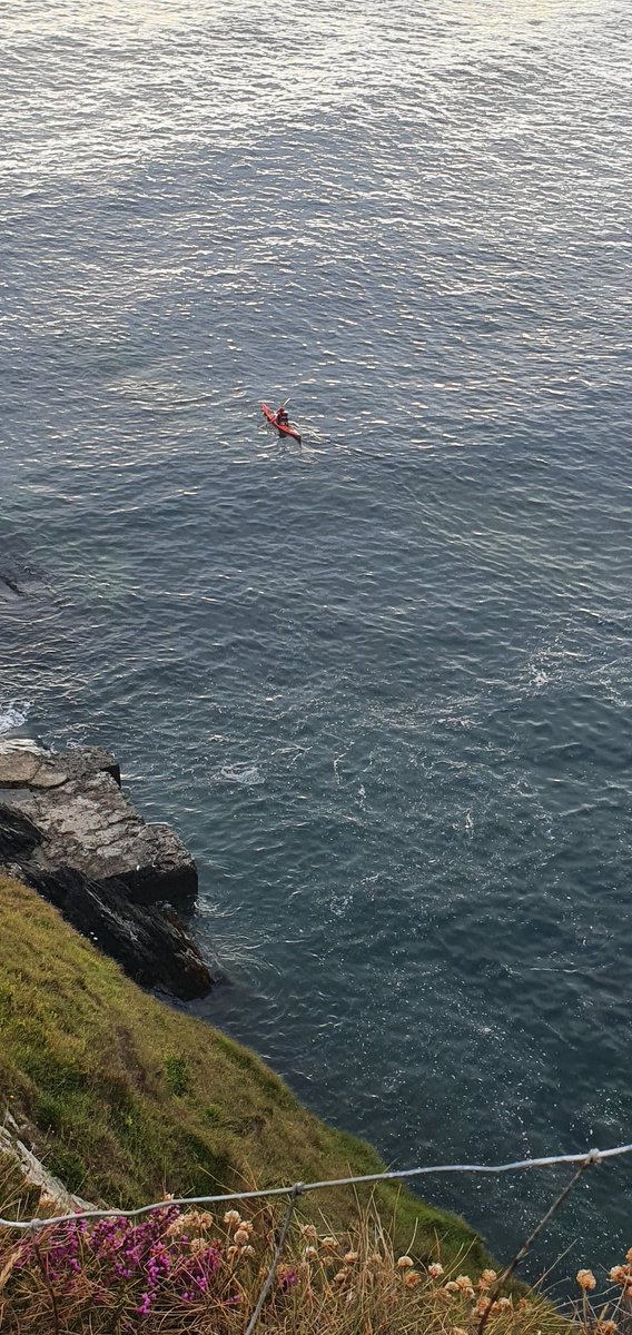 Aghada Sea Scouts tweet media