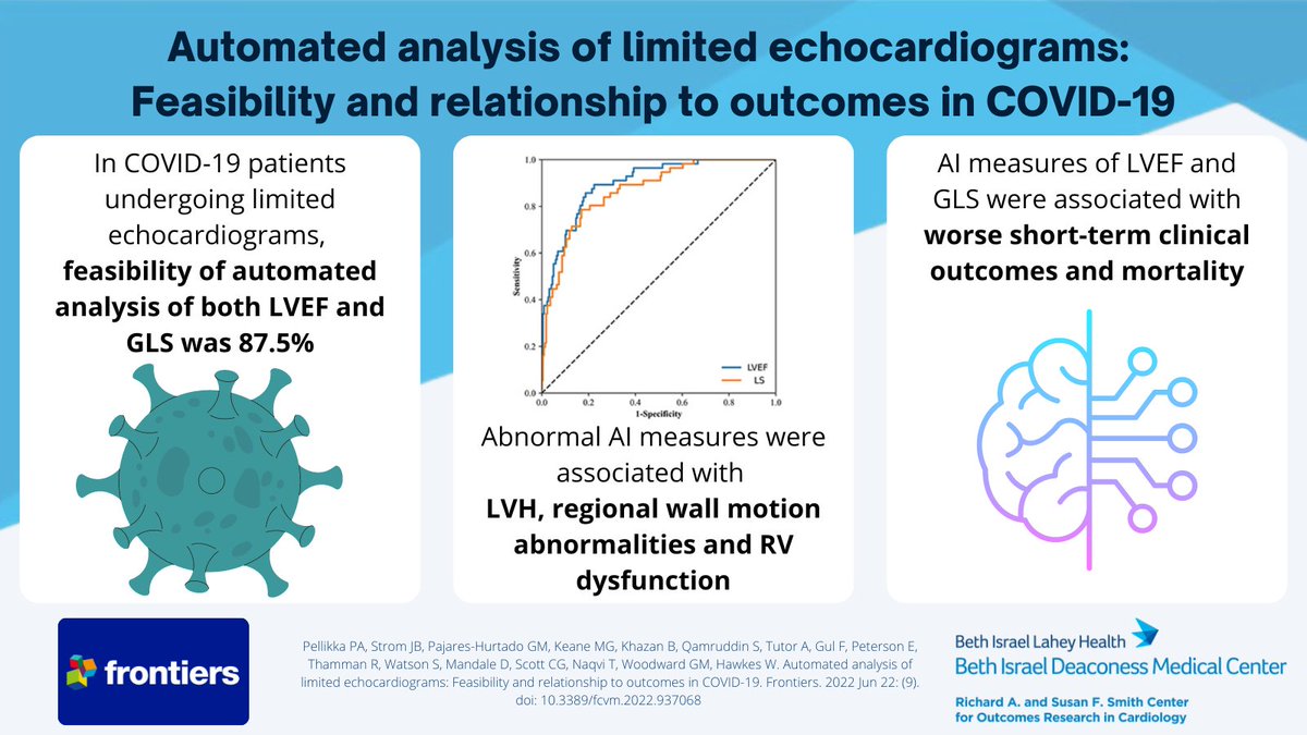 New work suggests that AI automated analysis of LVEF and LS provides clinically relevant estimations &amp; may provide additional information relevant to patient care. From <a href="/pattypellikka/">Dr.Patricia Pellikka</a> <a href="/DocStrom/">Jordan Strom, MD, MSc, FACC, FASE</a> et al in <a href="/FrontiersIn/">Frontiers</a>: bit.ly/3biT27T