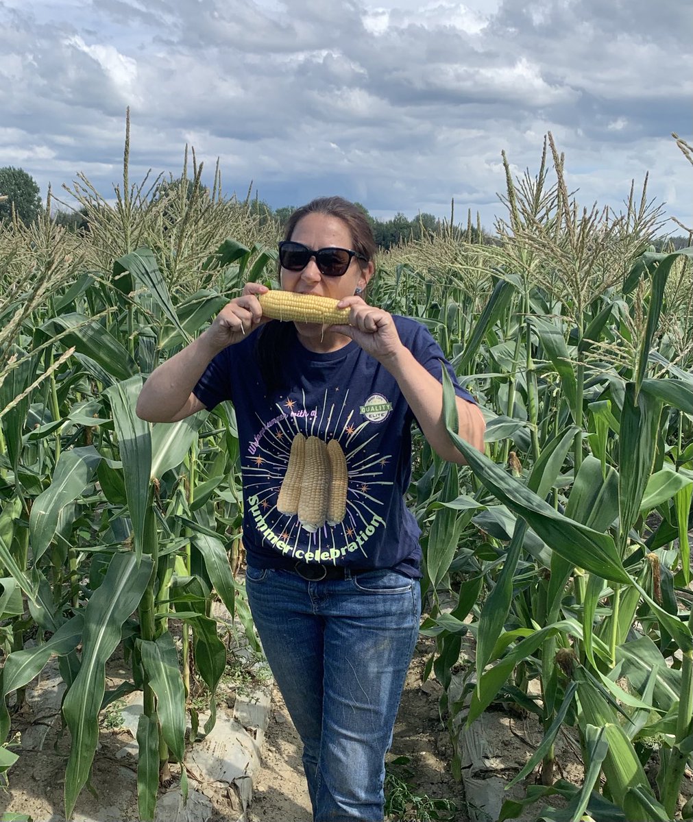 C’est comme ça qu’on teste nos hybrides en marché frais, crus, pas sel & pas de beurre! Drette comme ça, une belle dose de soleil sucré 💛🤩🌽☀️#summercelebration