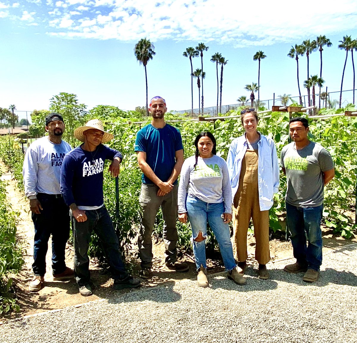 Rachel Surls tweet media