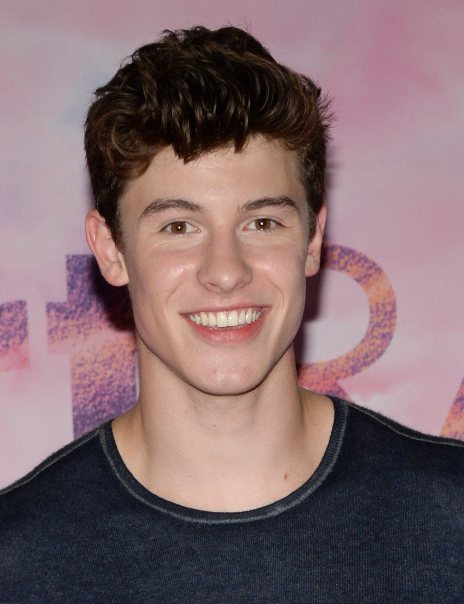 shawn mendes air force 1