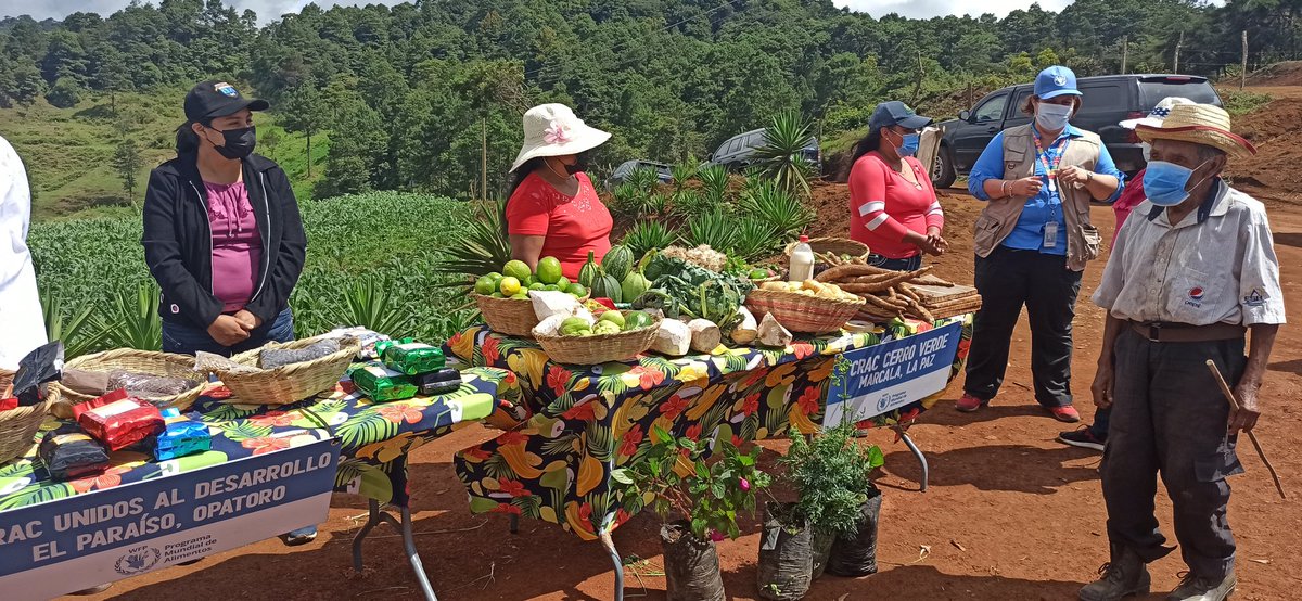 JuanICortes's tweet photo. En la comunidad de Cerro Verde, La Paz, #Honduras, visitamos proyecto de adaptación al #CambioClimatico financiado por @WFP_Honduras que está permitiendo a comunidades lencas progresar y evitar #Migracion
El media tour de
@IFADespanol, @WFP_es, @FAOenEspanol y @USUNRome va avanti https://t.co/a6Ueh1KNLO