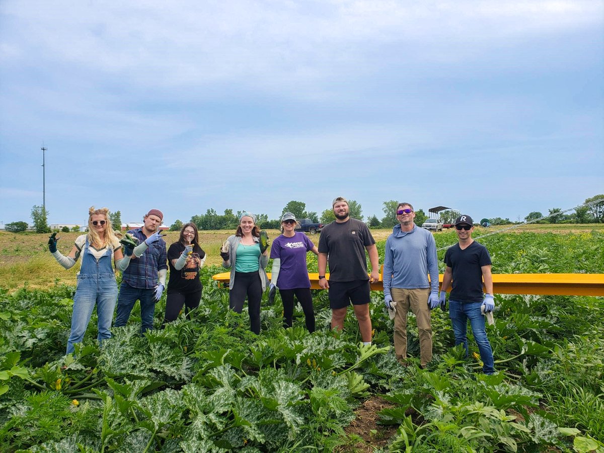 hungertaskforce's tweet photo. Thank you to all of the amazing groups and individuals that volunteered at the #HungerTaskForceFarm this month! A special thank you to groups from @AdvocateAurora @AssociatedBank @theboldtco @BrewCity_Mktg #GLCCC @GPSEdPartners @HydriteCo @KohlsCareers #Kriete https://t.co/mcW52pj4Ht