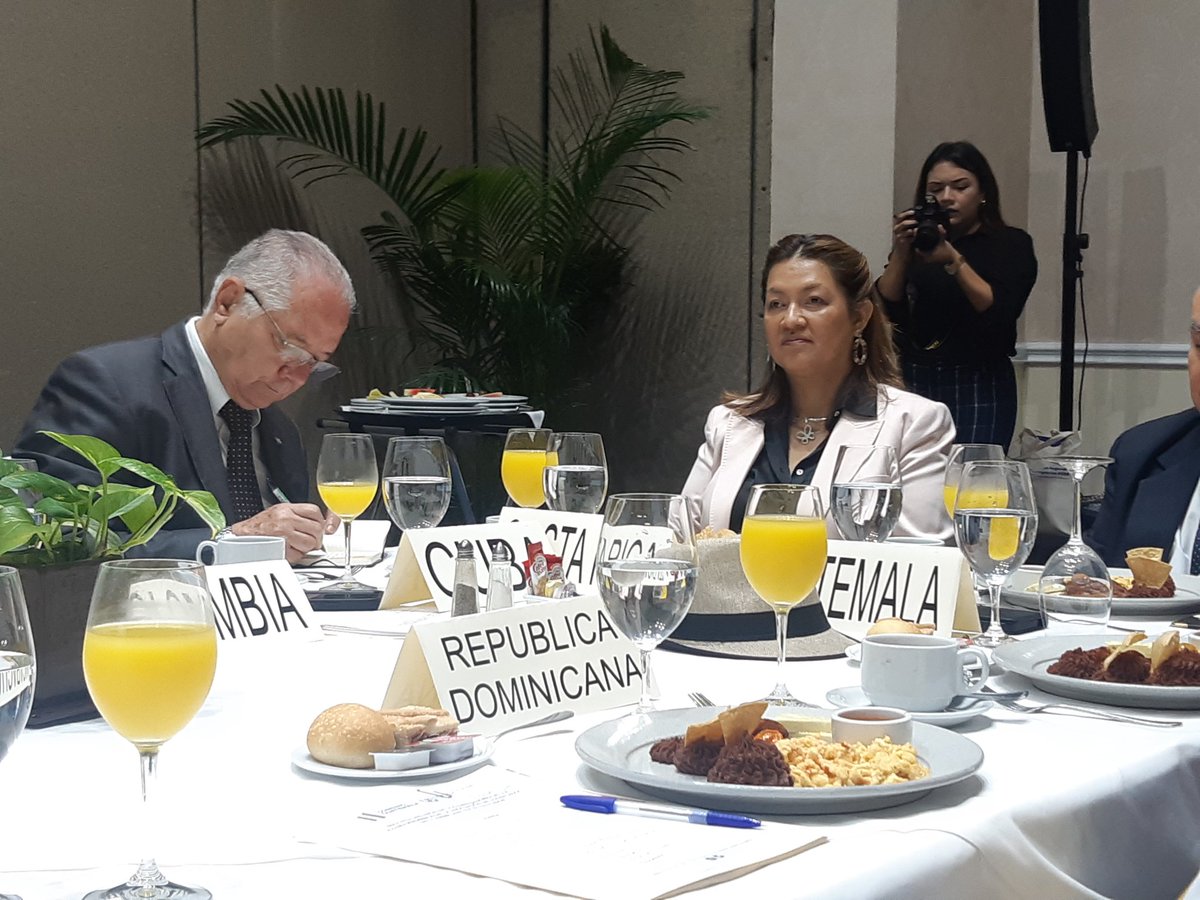 embpanamaeslv's tweet photo. El Enc. de los Asuntos Consulares de la Embajada @ivan_karica, participó en la reunión de países miembros de AEC convocada por la Embajada de Guatemala, con la participación de @LidiaFromm del PM Directora Ejecutiva del Proyecto Mesoamérica.
@CancilleriaPma @DavidEPalaciosP https://t.co/rJdwBmKjv5